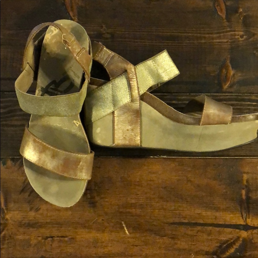 OTBT Bushnell wedges